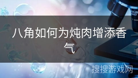 八角如何为炖肉增添香气