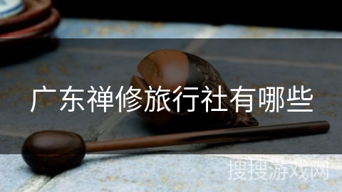 广东禅修旅行社有哪些