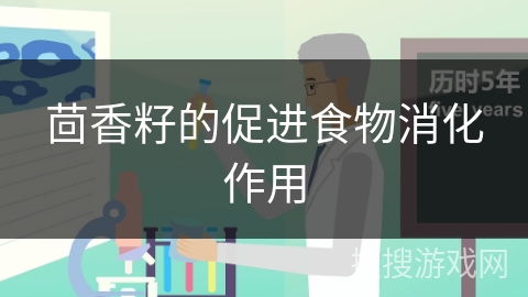 茴香籽的促进食物消化作用