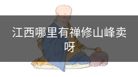 江西哪里有禅修山峰卖呀