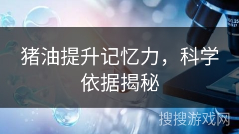 猪油提升记忆力,科学依据揭秘