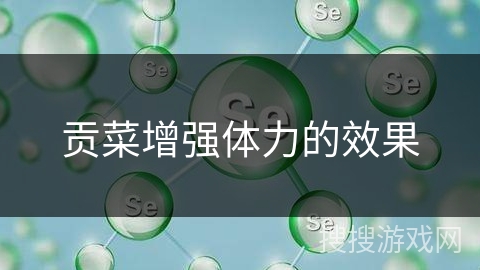 贡菜增强体力的效果