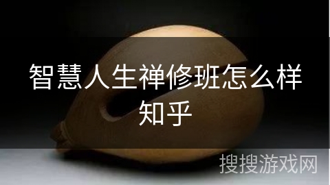 智慧人生禅修班怎么样知乎