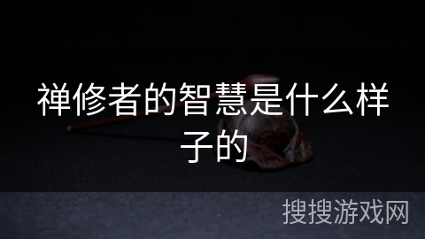 禅修者的智慧是什么样子的 禅修者的智慧是什么样子的