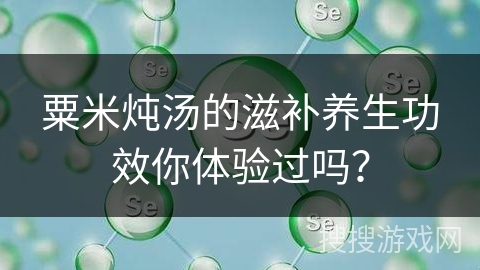 粟米炖汤的滋补养生功效你体验过吗？