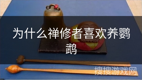 为什么禅修者喜欢养鹦鹉