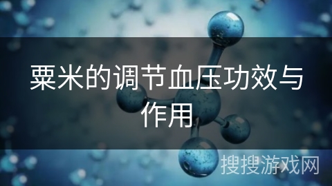 粟米的调节血压功效与作用