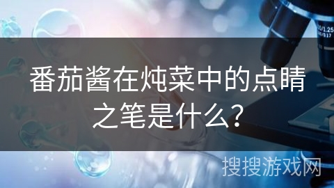 番茄酱在炖菜中的点睛之笔是什么?