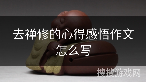 去禅修的心得感悟作文怎么写