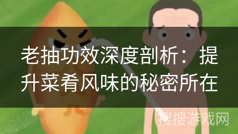 老抽功效深度剖析:提升菜肴风味的秘密所在