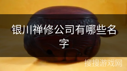 银川禅修公司有哪些名字 银川禅修公司有哪些名字