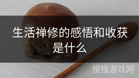 生活禅修的感悟和收获是什么