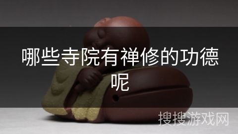 哪些寺院有禅修的功德呢 哪些寺院有禅修的功德呢