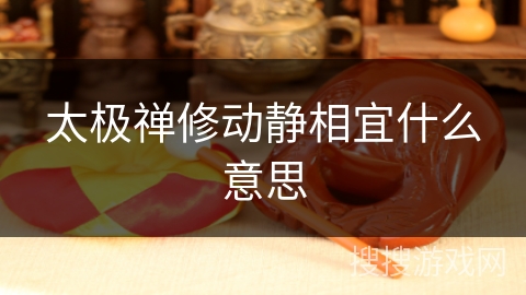 太极禅修动静相宜什么意思 太极禅修动静相宜什么意思