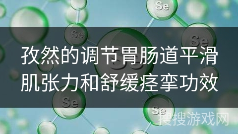 孜然的调节胃肠道平滑肌张力和舒缓痉挛功效