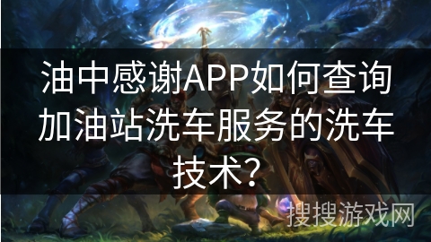 油中感谢APP如何查询加油站洗车服务的洗车技术？