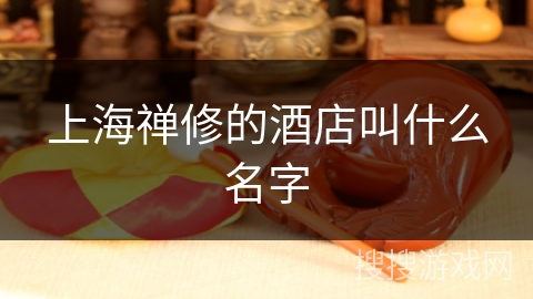 上海禅修的酒店叫什么名字