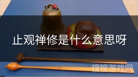 止观禅修是什么意思呀