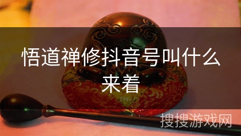 悟道禅修抖音号叫什么来着