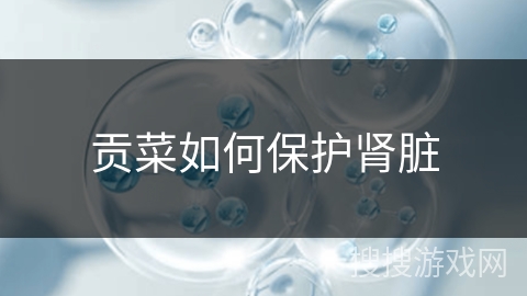 贡菜如何保护肾脏