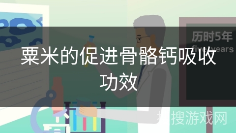 粟米的促进骨骼钙吸收功效