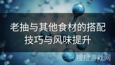 老抽与其他食材的搭配技巧与风味提升