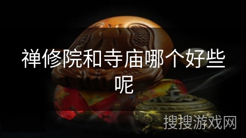 禅修院和寺庙哪个好些呢