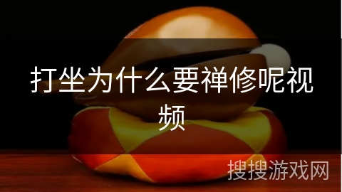 打坐为什么要禅修呢视频