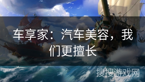 车享家：汽车美容，我们更擅长