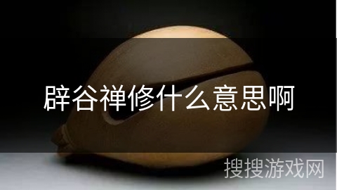 辟谷禅修什么意思啊