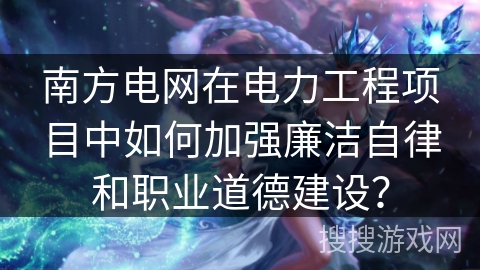 南方电网在电力工程项目中如何加强廉洁自律和职业道德建设？