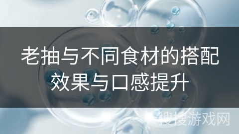 老抽与不同食材的搭配效果与口感提升