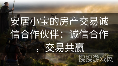 安居小宝的房产交易诚信合作伙伴：诚信合作，交易共赢