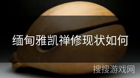 缅甸雅凯禅修现状如何