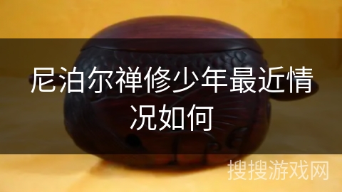 尼泊尔禅修少年最近情况如何 尼泊尔禅修少年最近情况如何