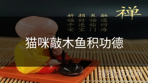 猫咪敲木鱼积功德