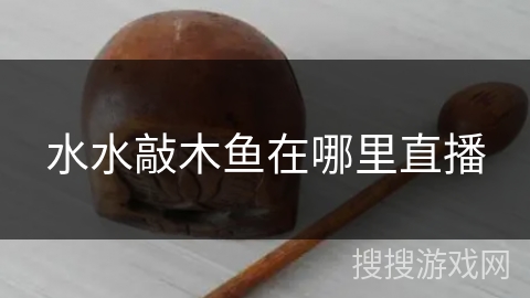 水水敲木鱼在哪里直播