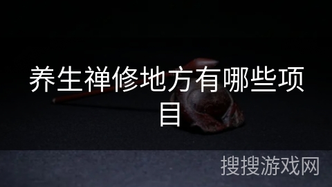 养生禅修地方有哪些项目