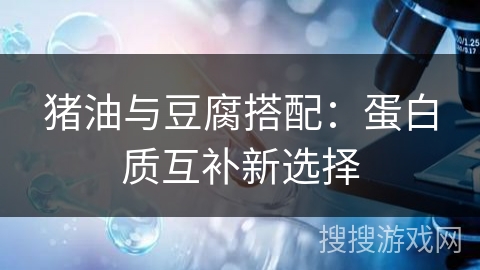 猪油与豆腐搭配：蛋白质互补新选择
