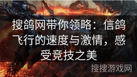 搜鸽网带你领略：信鸽飞行的速度与激情，感受竞技之美