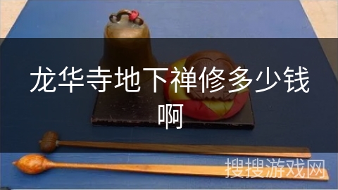 龙华寺地下禅修多少钱啊