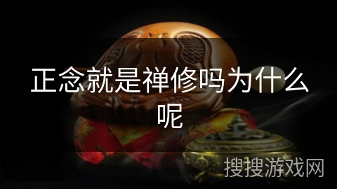 正念就是禅修吗为什么呢