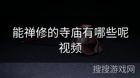 能禅修的寺庙有哪些呢视频 能禅修的寺庙有哪些呢视频