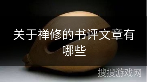 关于禅修的书评文章有哪些