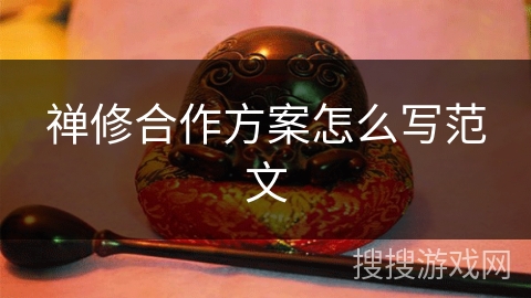 禅修合作方案怎么写范文