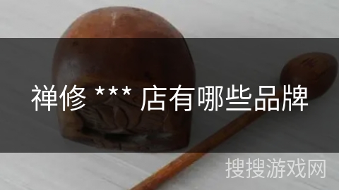 禅修 *** 店有哪些品牌