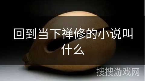 回到当下禅修的小说叫什么