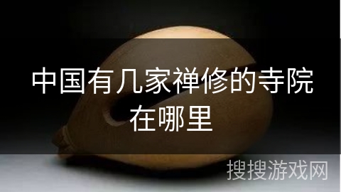 中国有几家禅修的寺院在哪里