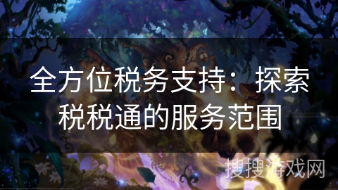 全方位税务支持：探索税税通的服务范围