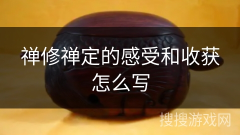 禅修禅定的感受和收获怎么写